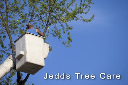 Jacobs Tree Care